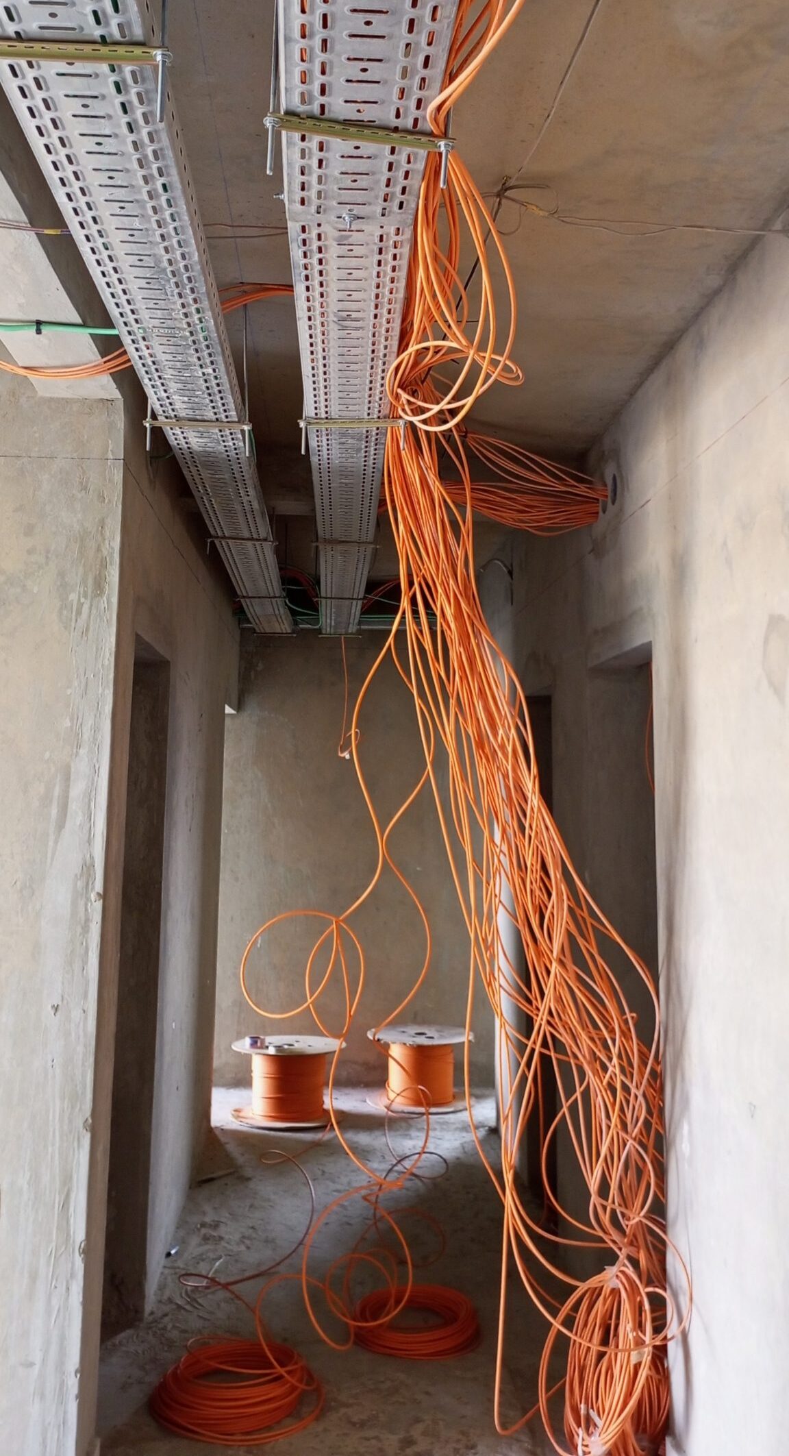 img 20220406 110441 969 scaled 1 e1766798972116.jpg